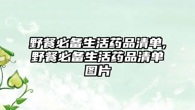 野餐必備生活藥品清單,野餐必備生活藥品清單圖片