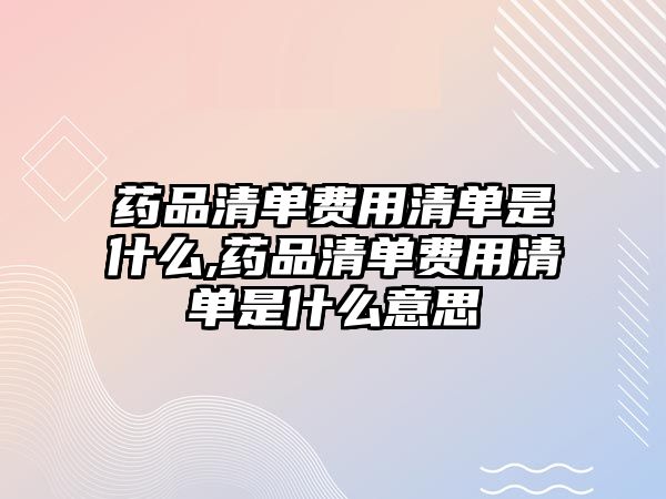 藥品清單費(fèi)用清單是什么,藥品清單費(fèi)用清單是什么意思